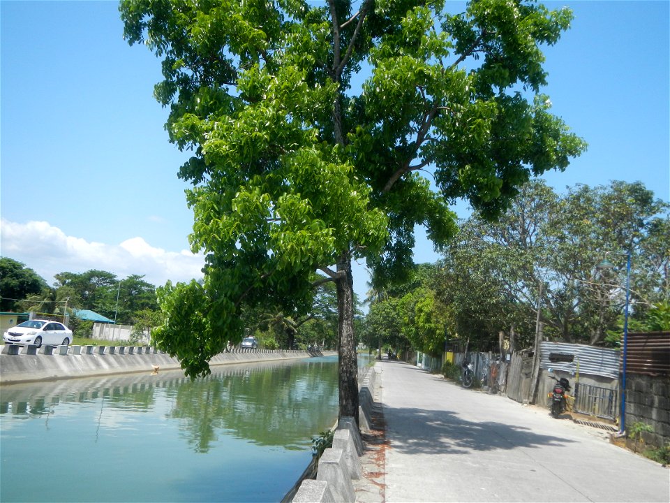 Canal lining NIA REGION 3 BANE IMO  Views of Parulan (irrigation canals along lateral-main NIA roads) 2021 Men with Salbabida (inner tubes) in irrigation canals