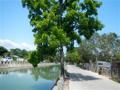 Canal lining NIA REGION 3 BANE IMO  Views of Parulan (irrigation canals along lateral-main NIA roads) 2021 Men with Salbabida (inner tubes) in irrigation canals
