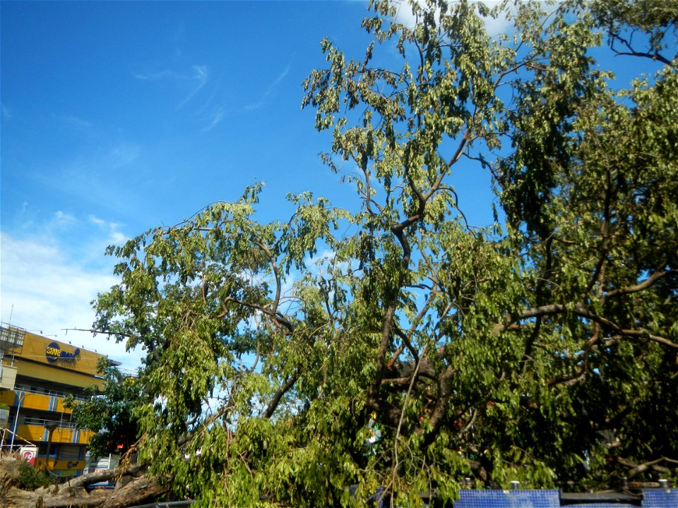 Poblacion, Baliuag, Bulacan