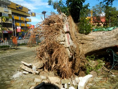 Poblacion, Baliuag, Bulacan