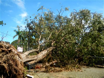 Poblacion, Baliuag, Bulacan