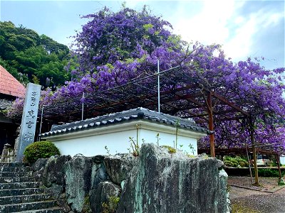 神光寺 - 徳島県名西郡神山町鬼籠野 photo