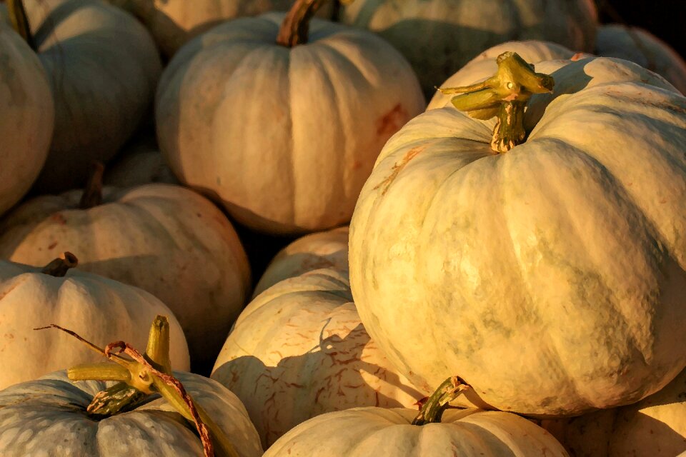 Autumn october november