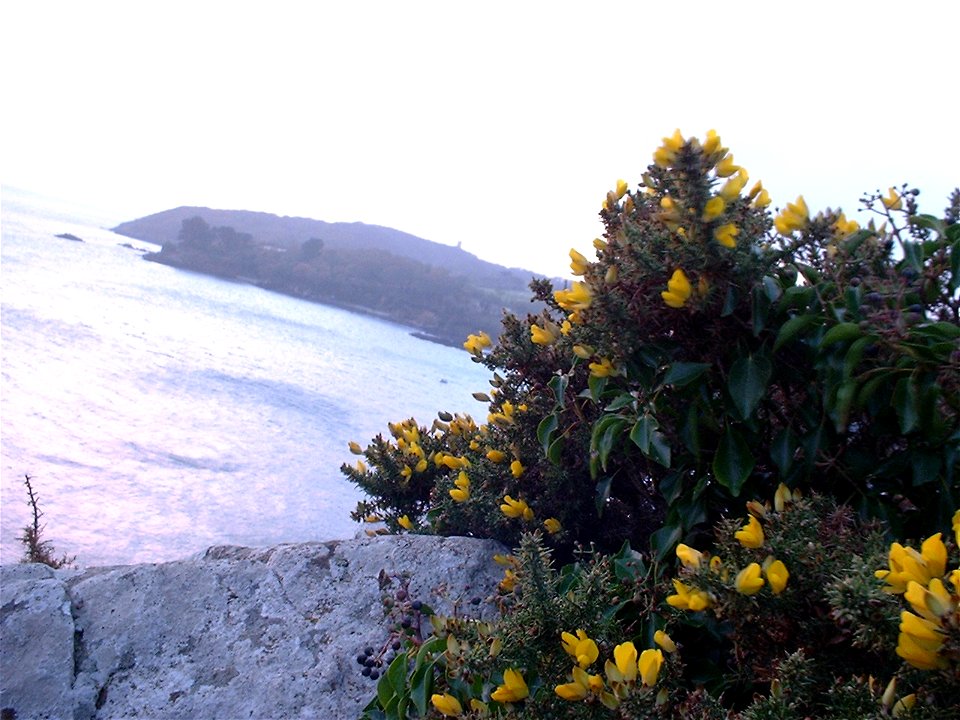 Seaside in Plouzané 