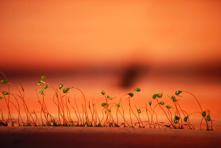 Nature affix the nature of the