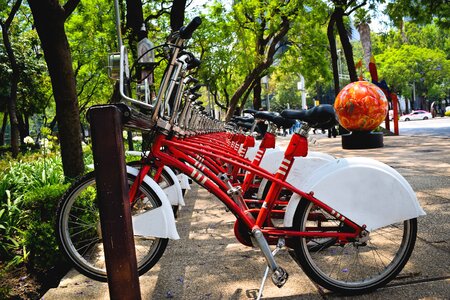 Tourism bike cyclist