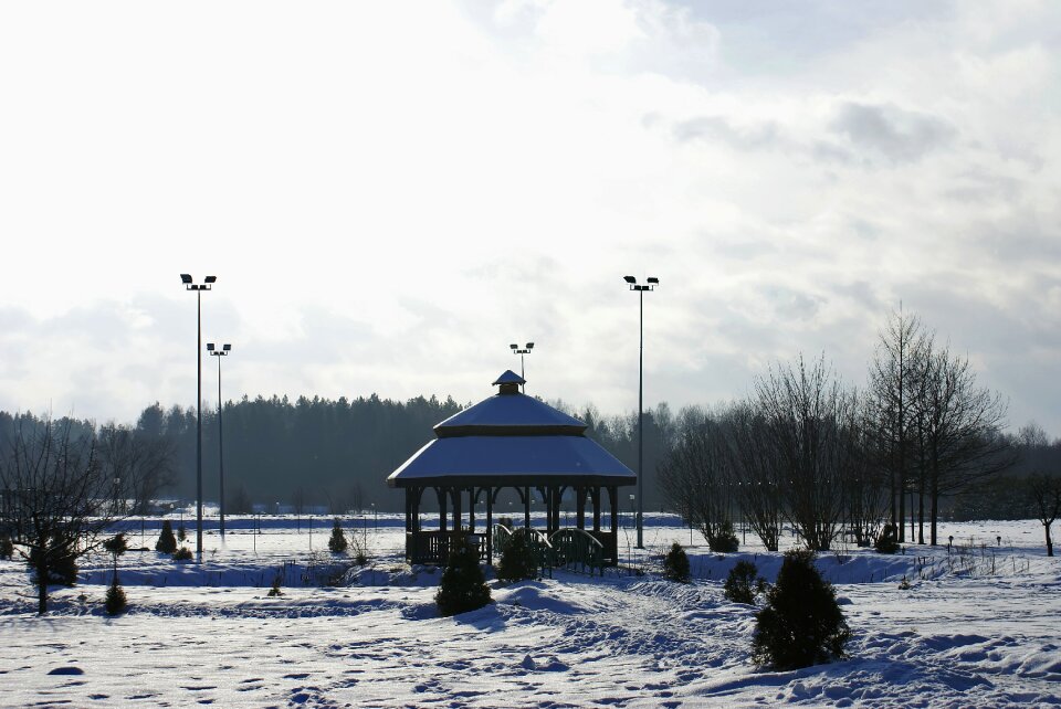 Snow landscape cold