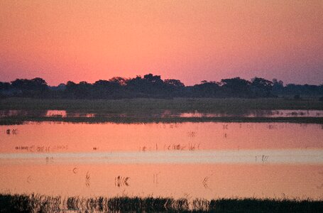 Africa chobe dusk photo