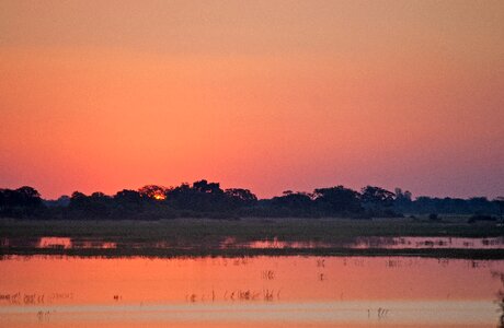 Africa chobe dusk photo