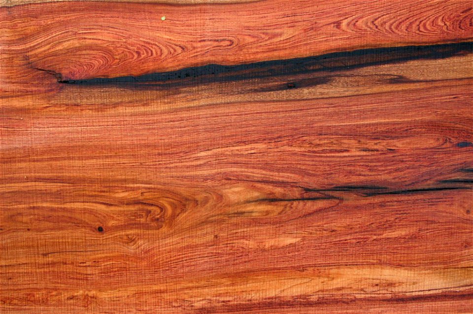 Timber of Guibourtia coleosperma (Benth.) J.Léonard - African Rosewood