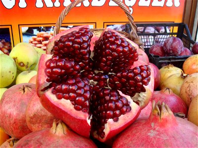Henar Punica granatum
