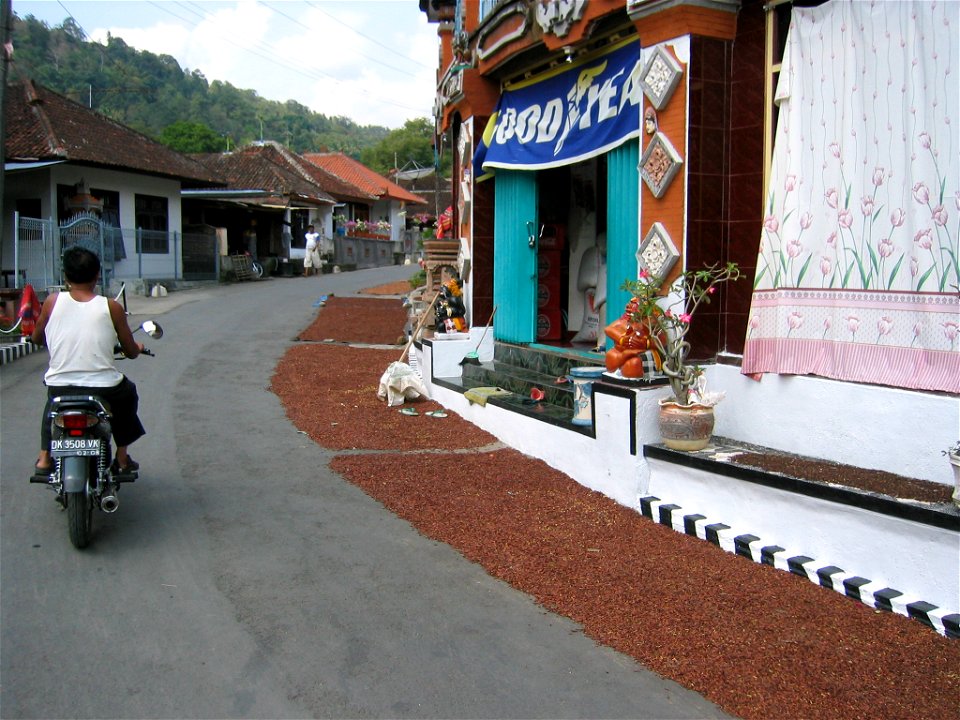 Drying Cloves in Munduk, Bali