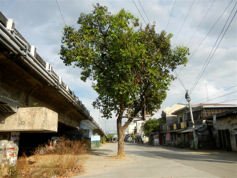 Cojuanco (Poblacion) - Rizal (Poblacion), Santa Rosa, Nueva Ecija Junction - Intersection, Cagayan Valley Road, Maharlika Highway Barangay Rizal (Poblacion) 15°24'57"N 120°57'36"E and  Barangay 15°25'