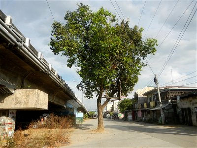 Cojuanco (Poblacion) - Rizal (Poblacion), Santa Rosa, Nueva Ecija Junction - Intersection, Cagayan Valley Road, Maharlika Highway Barangay Rizal (Poblacion) 15°24'57"N 120°57'36"E and  Barangay 15°25'