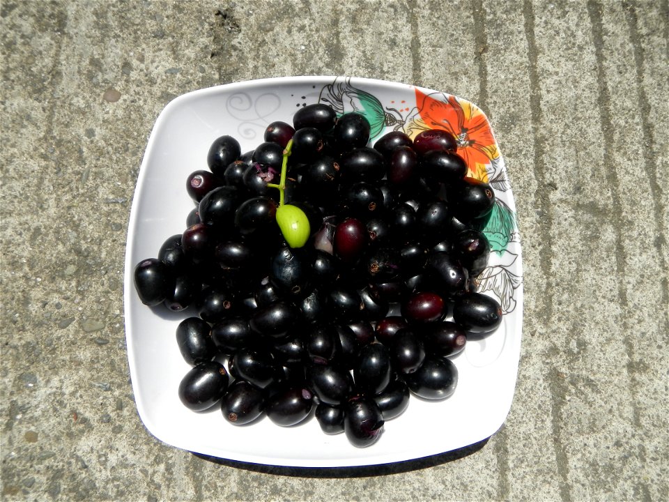 Cuisine of Bulacan, Foods and fruits, Carica Papaya, Duhat (Philippines) and Guyabano (Philippines).