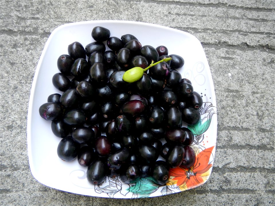 Cuisine of Bulacan, Foods and fruits, Carica Papaya, Duhat (Philippines) and Guyabano (Philippines).