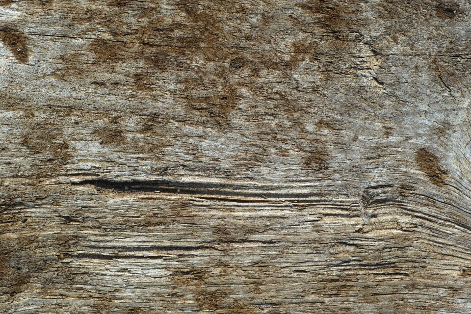 Summary old texture