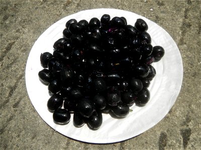 Foods fruits in Bulacan in Barangay Poblacion 14°57'17"N 120°54'2"E Baliuag, Bulacan, Bulacan province (Note: Judge Florentino Floro, the owner, to repeat, Donor Florentino Floro of all these photos h