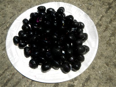 Foods fruits in Bulacan in Barangay Poblacion 14°57'17"N 120°54'2"E Baliuag, Bulacan, Bulacan province (Note: Judge Florentino Floro, the owner, to repeat, Donor Florentino Floro of all these photos h