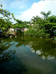 Photos taken during the 2020 coronavirus pandemic in Bocaue, Bulacan Timeline of the 2020 coronavirus pandemic in the Philippines  2020 coronavirus pandemic in the Philippines Bayanihan to Heal as One
