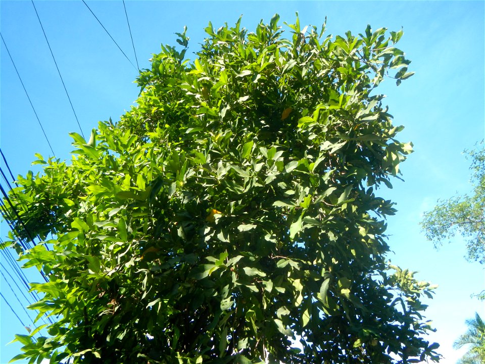 Santo Cristo  14°54'3"N 120°52'34"E Santo Cristo, Pulilan Bulacan