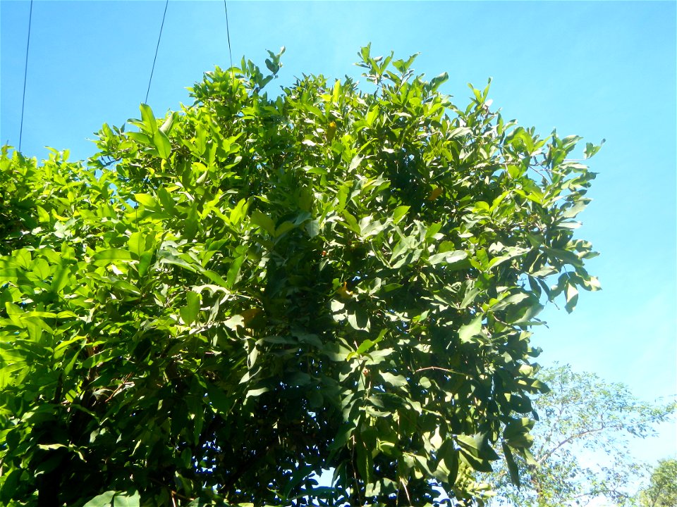 Santo Cristo  14°54'3"N 120°52'34"E Santo Cristo, Pulilan Bulacan