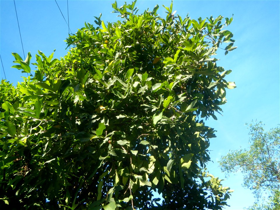 Santo Cristo  14°54'3"N 120°52'34"E Santo Cristo, Pulilan Bulacan
