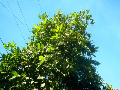 Santo Cristo  14°54'3"N 120°52'34"E Santo Cristo, Pulilan Bulacan