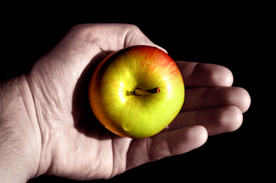 Lying adam and eve red
