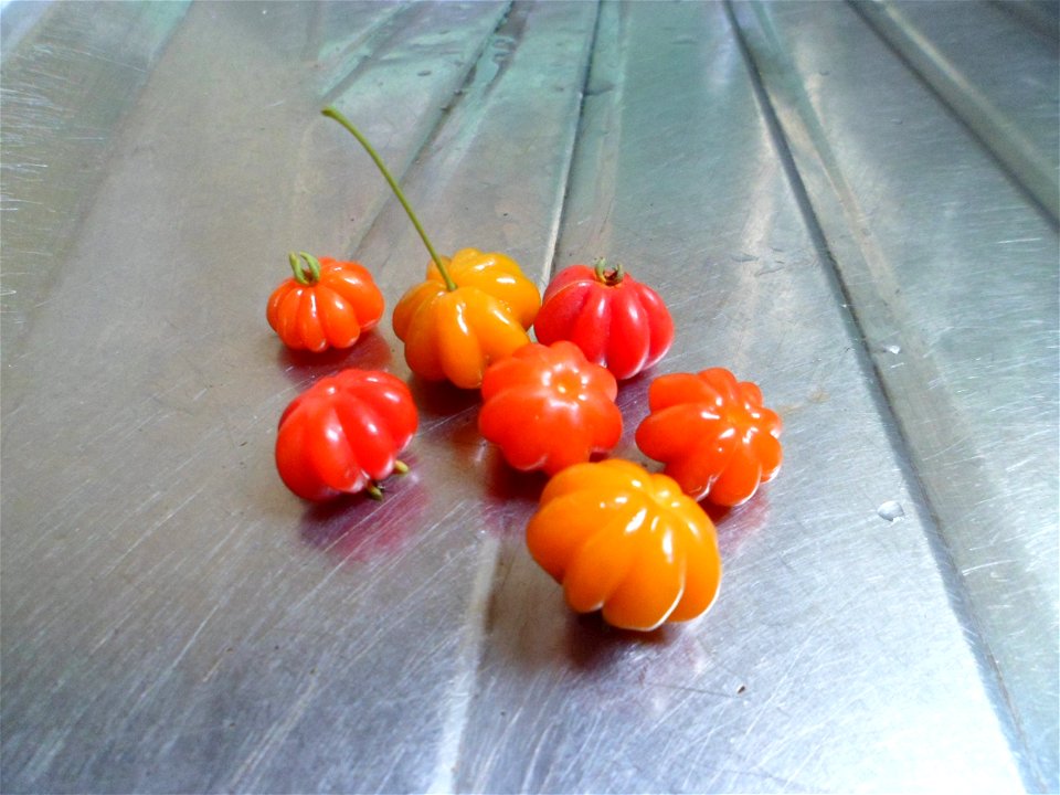 Foto de sete frutos de pitangueira (Eugenia uniflora) reunidos.
