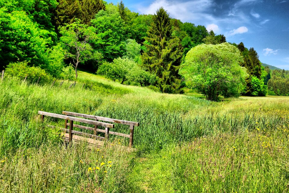 Blue sky landscape