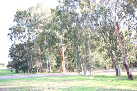 Yarkon Park, Geography of  Israel