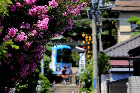 鎌倉夏景(3). photo