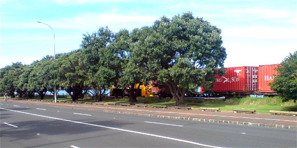 A KiwiRail freight train seen from Tamaki Drive in Auckland, New Zealand. Coordinates approximate.
