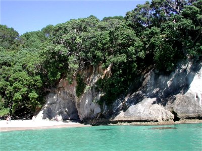 Mare's Leg Cove from the sea. The entrance to the rock arch to Cathedral Cove is in the center of the picture.