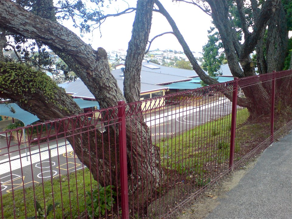 Newton Central Primary School in Auckland City, New Zealand. Looking south from Monmouth Street.