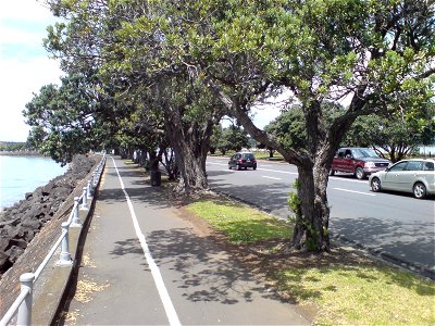 Tamaki Drive in Auckland, New Zealand. Looking east from some distance near Teal Park / the Parnell Baths. Coordinates somewhat approximate.