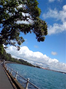 An artfully angled shot looking west along Tamaki Drive's walk- and cycleway in Auckland, New Zealand. photo