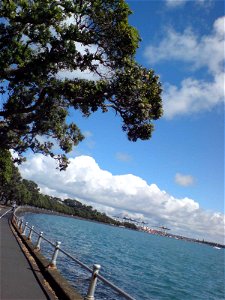 An artfully angled shot looking west along Tamaki Drive's walk- and cycleway in Auckland, New Zealand.