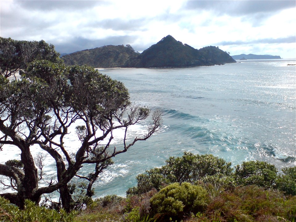 View northwards from a tiny promontory in the centre of Medlands Beach / Oruawharo Bay on Great Barrier Island in Auckland, New Zealand.