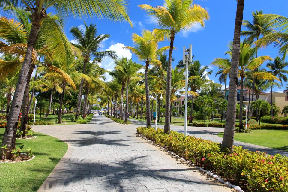 Travel tropical exotic