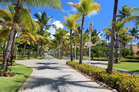 Travel tropical exotic