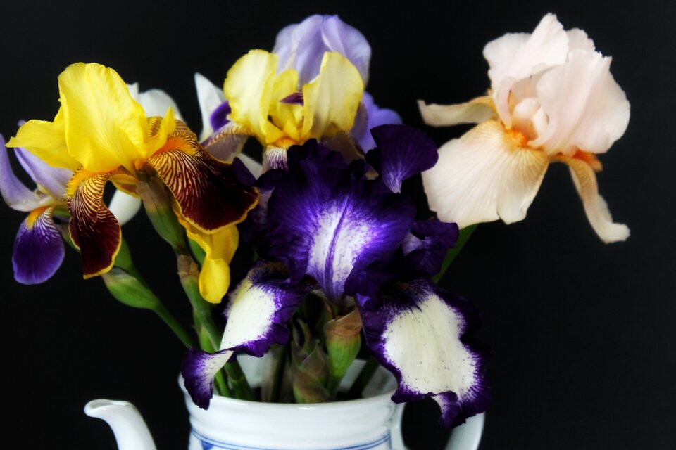 Bouquet yellow purple