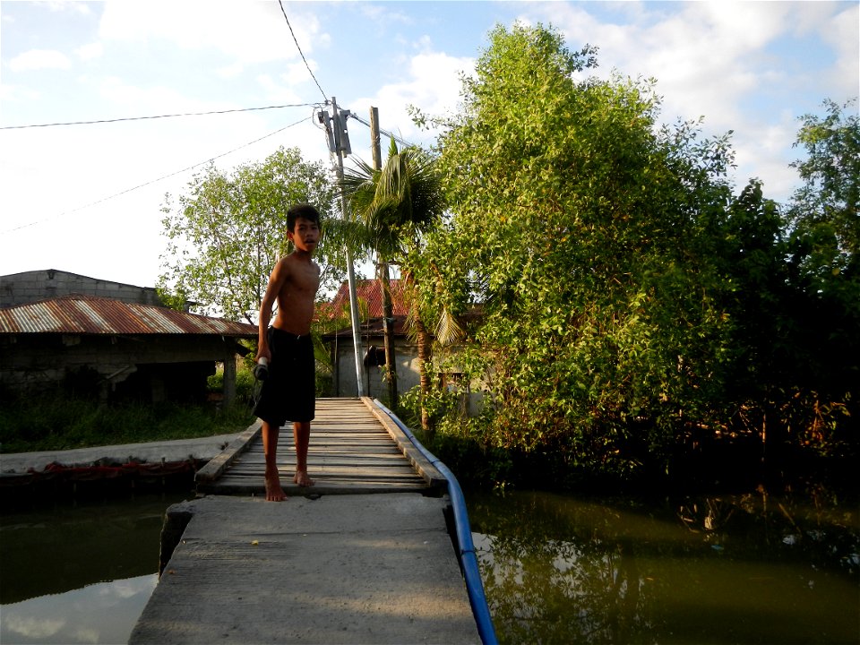 Fish ponds, creeks, fields, Welcome arch in the villages of Barangays San Isidro Anac and San Isidro Matua (Poblacion),  Masantol, Pampanga, Sonneratia caseolaris Cork tree, Sonneratia caseolaris or Q