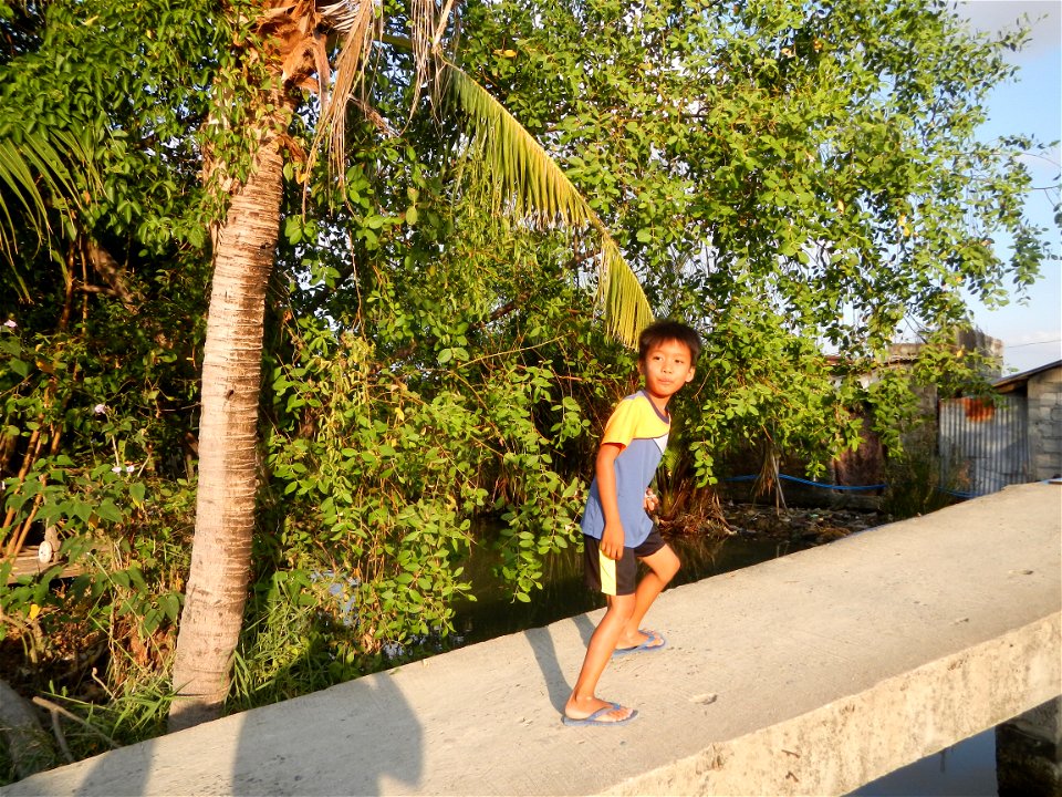 Fish ponds, creeks, fields, Welcome arch in the villages of Barangays San Isidro Anac and San Isidro Matua (Poblacion),  Masantol, Pampanga, Sonneratia caseolaris Cork tree, Sonneratia caseolaris or Q