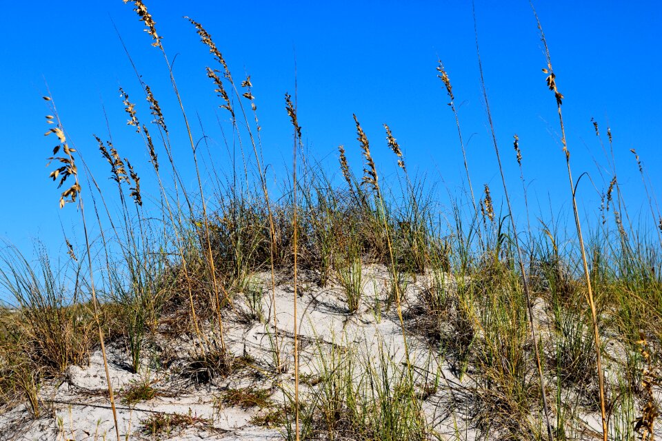 Nature landscape dunes photo