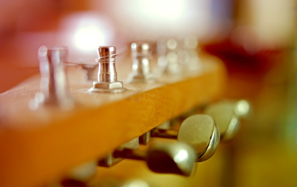 Focus close-up blur