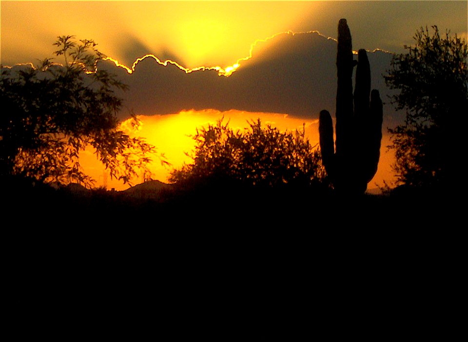 Taken by me, Scottsdale, Arizona.