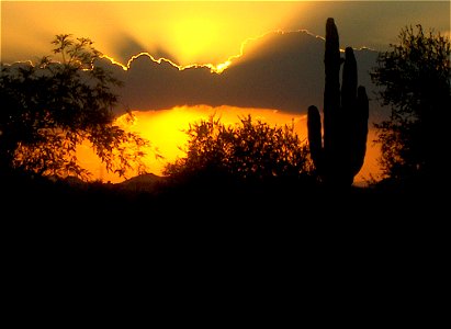 Taken by me, Scottsdale, Arizona.