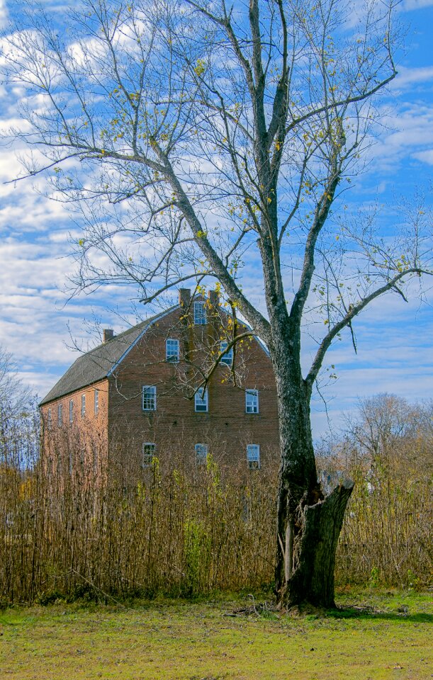 Rural nature landscape